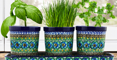 Set of 3 Planters in "Mardi Gras" pattern by Ceramika Artystyczna